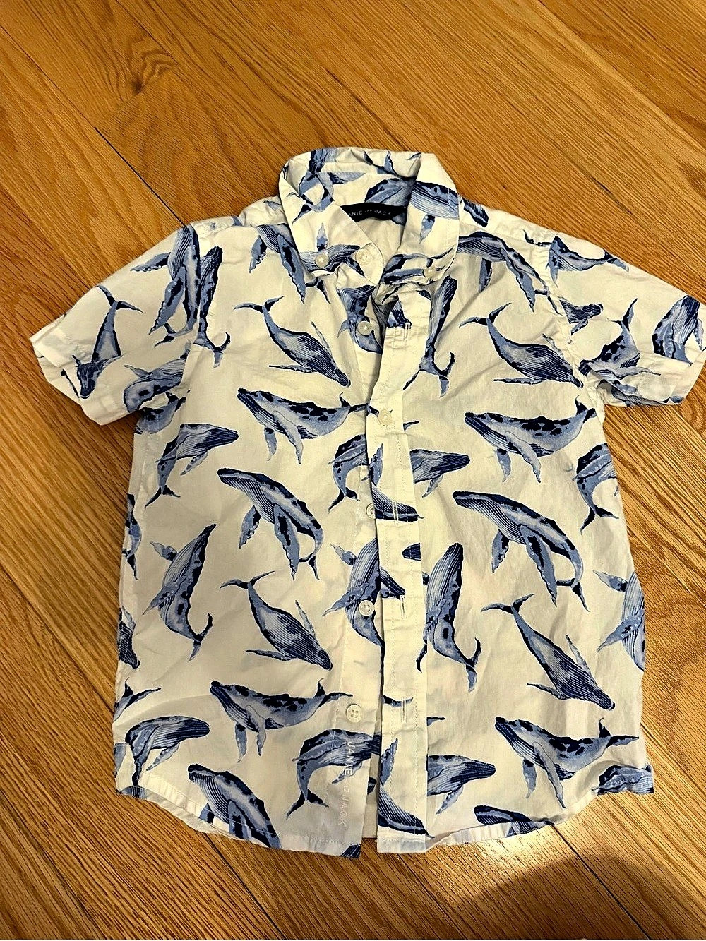 Janie and Jack Boys' Whale Print Button Down Size 4